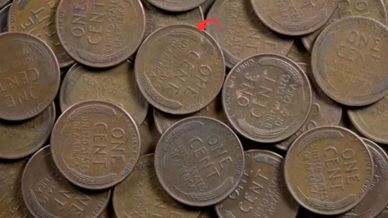 The $3.75 Million Coin Still Missing Could It Be in Your Pocket?
